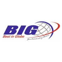 BIG Security Networks Logo